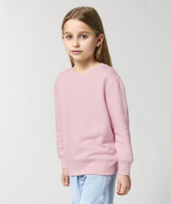 Kids Mini Changer 2.0 Iconic Crew Neck Sweatshirt (Stsk181)