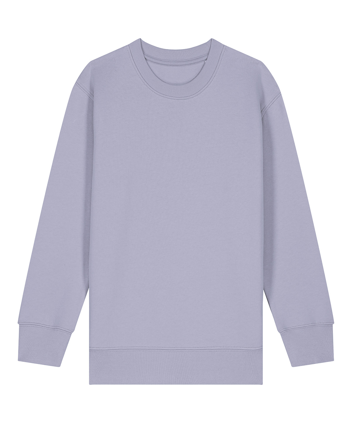 Kids Mini Changer 2.0 Iconic Crew Neck Sweatshirt (Stsk181) - Image 13