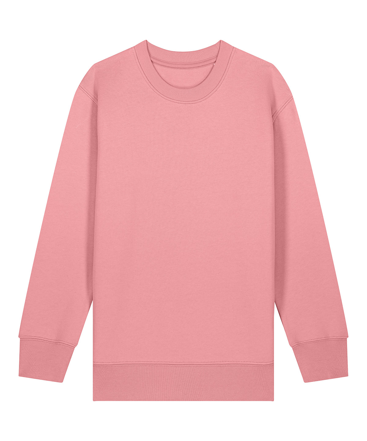Kids Mini Changer 2.0 Iconic Crew Neck Sweatshirt (Stsk181) - Image 15