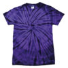 Spider Purple