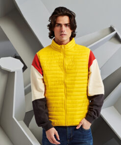 Tribe Fineline Padded Gilet