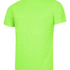 Electric Green