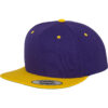 Purple/Gold