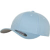 Carolina Blue