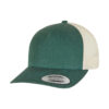 Green/Beige