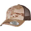 Arid/Brown