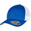 Royal/White