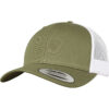 Buck/White