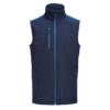 Navy/Cobalt