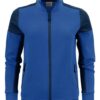 Cobalt/Navy