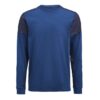 Cobalt/Navy