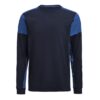 Navy/Cobalt