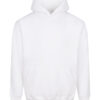 Arctic White