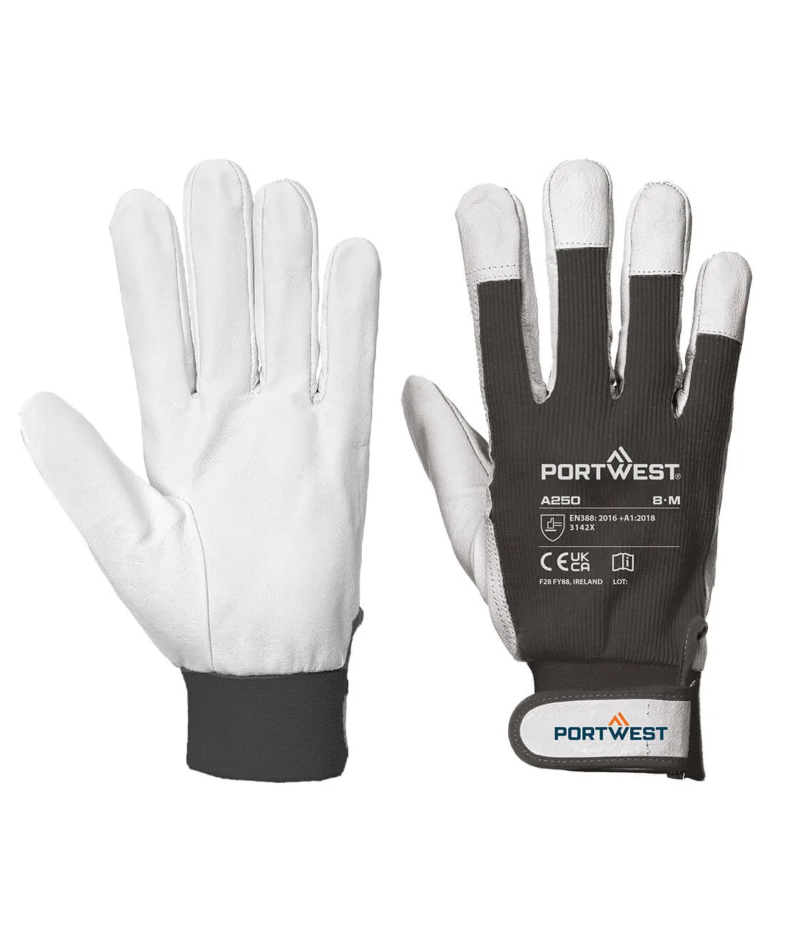 Portwest A250 Leather 110 Grain Palm Mechanical Glove 12-Pack in Black