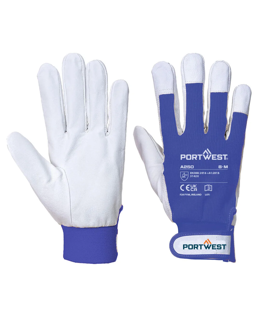 Portwest A250 Leather 110 Grain Palm Mechanical Glove 12-Pack in Blue