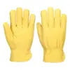 Portwest A271 Cold 200 Cow Grain Driver Glove in Beige
