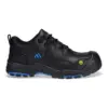 Black/Blue